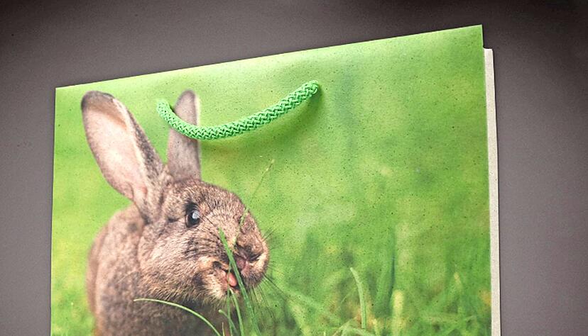 Graspapier ist eine nachhaltige Alternative zu klassischem Papier. Bei Riedle Bags setzt man verst&auml;rkt darauf.
Riedle