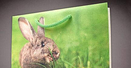 Graspapier ist eine nachhaltige Alternative zu klassischem Papier. Bei Riedle Bags setzt man verst&auml;rkt darauf.
Riedle