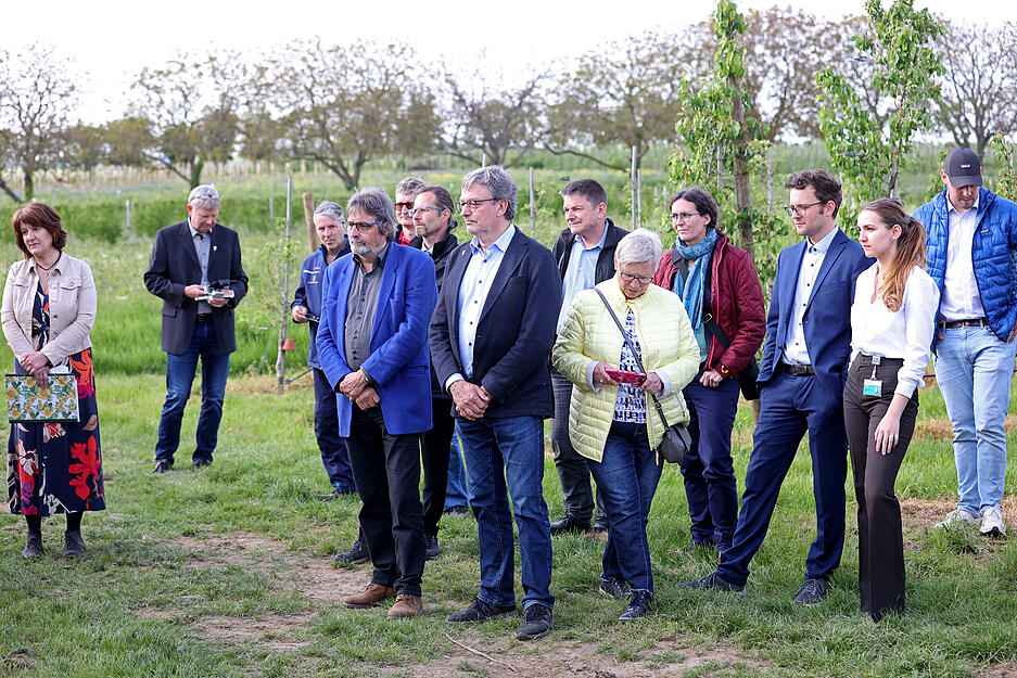 Einweihung der Agrar-PV-Anlage im Obstversuchsgut Heuchlingen in Bad Friedrichshall. Pilotprojekt des Landes Baden-Württemberg. Beerenobstanlage unter APV-Überdachung.