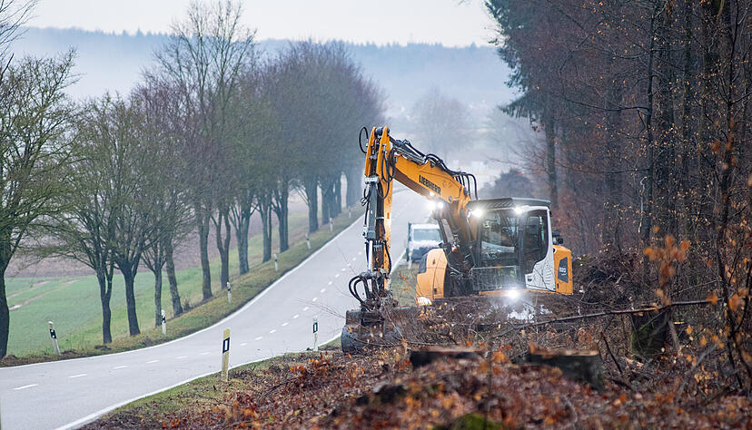 Bagger im Einsatz: F&uuml;r den Bau des Radwegs zwischen Gemmingen und Massenbachhausen ist es n&ouml;tig, zahlreiche B&auml;ume zu f&auml;llen.