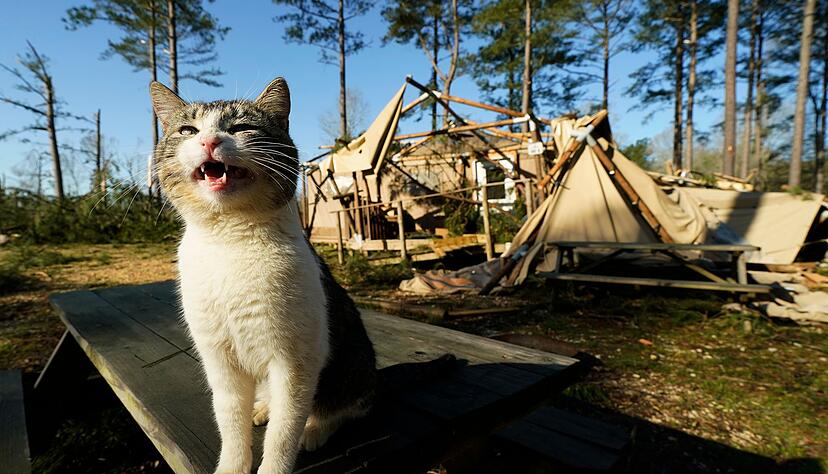 Die Stürme hinterließen eine Schneise der Verwüstung. Die Stürme hinterließen eine Schneise der Verwüstung.