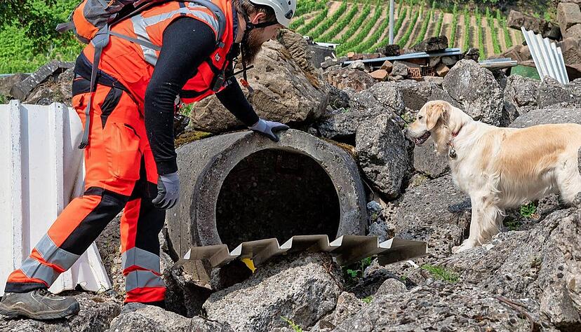 Debbie schlägt an und signalisiert Kai Weeber, dass sie was entdeckt hat. Debbie schlägt an und signalisiert Kai Weeber, dass sie was entdeckt hat.