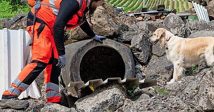 Debbie schlägt an und signalisiert Kai Weeber, dass sie was entdeckt hat. Debbie schlägt an und signalisiert Kai Weeber, dass sie was entdeckt hat.