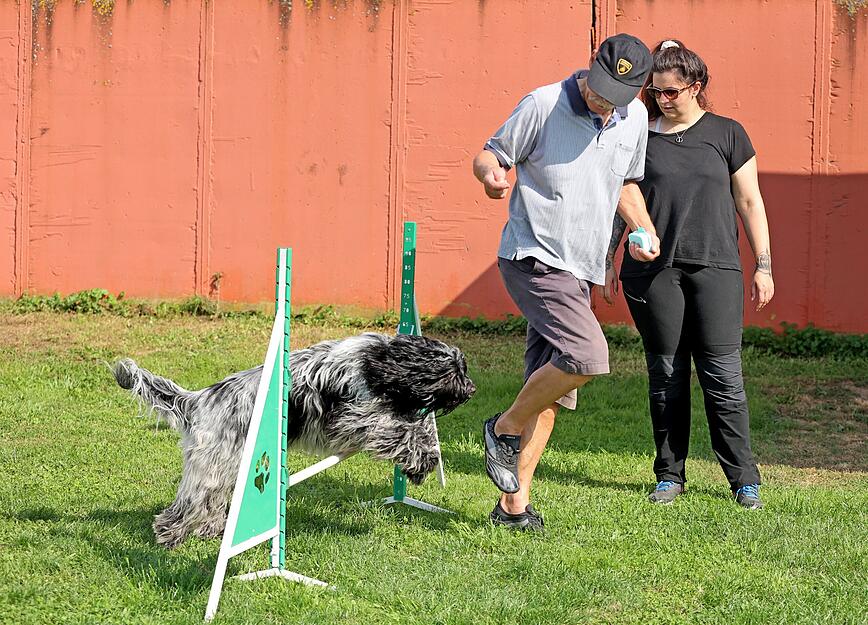 Agility Hunde-Training Lesersommer Agility Hunde-Training Lesersommer