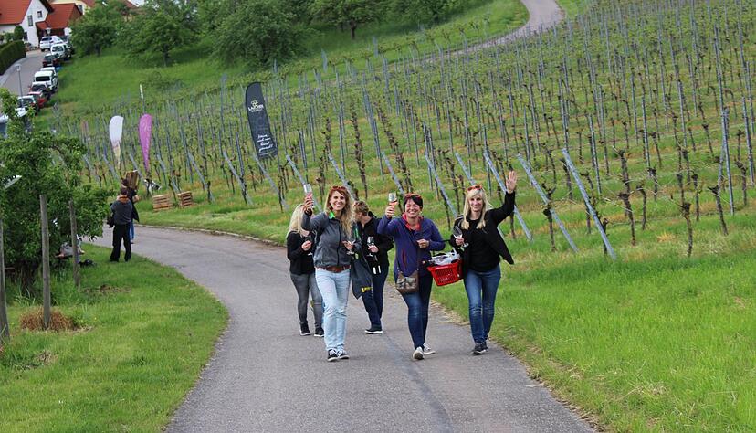 Wein über Berg und Tal in Löwenstein
