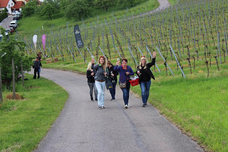 Wein über Berg und Tal in Löwenstein