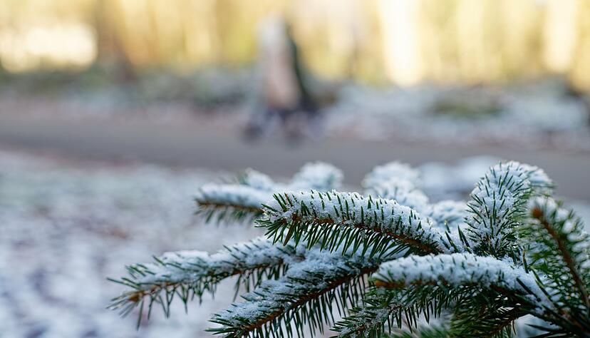 Die Chancen auf weiße Weihnachten sind in der vergangenen Zeit zunehmend gesunken. (Archivbild) Die Chancen auf weiße Weihnachten sind in der vergangenen Zeit zunehmend gesunken. (Archivbild)