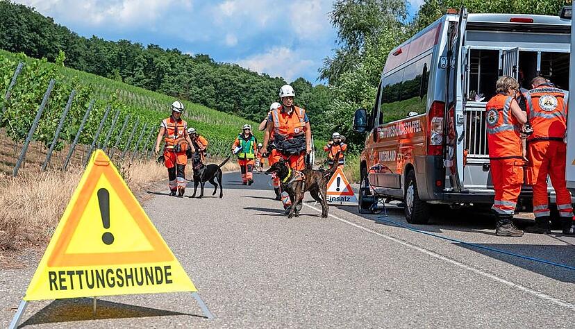Um für den Einsatz vorbereitet zu sein, finden regelmäßige Trainings der Rettungshundestaffel statt. Im Ernstfall suchen die Hunde nach Vermissten.
Foto: Archiv/Kunz