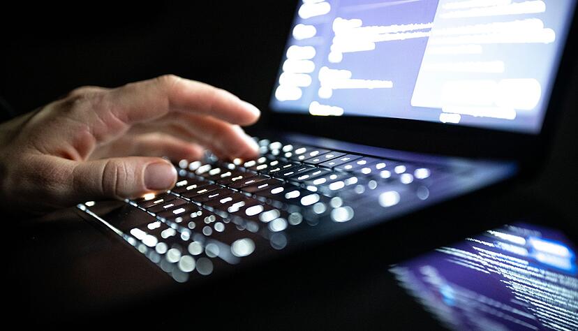 Fahnder in den USA, Kanada und Deutschland haben nun zwei gro&szlig;e Botnetze lahmgelegt, die f&uuml;r &Uuml;berlastungsangriffe genutzt wurden.