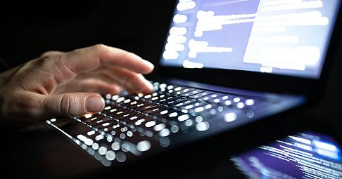 Fahnder in den USA, Kanada und Deutschland haben nun zwei gro&szlig;e Botnetze lahmgelegt, die f&uuml;r &Uuml;berlastungsangriffe genutzt wurden.