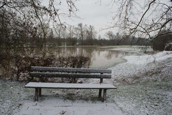 Was aussieht wie ein idyllischer See, ist eine überflutete Kocheraue in Kochendorf.