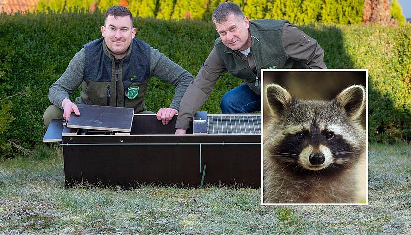 Lukas (links) und Ulrich Brixner haben als sogenannte Stadtjäger in Hardthausen spezielle Fallen für Wildtiere. Lukas (links) und Ulrich Brixner haben als sogenannte Stadtjäger in Hardthausen spezielle Fallen für Wildtiere.