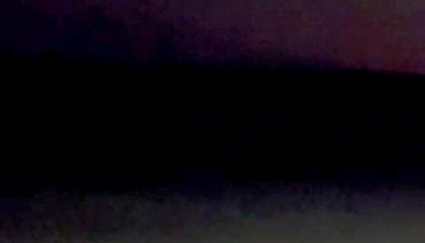 Eine Wildtierkamera hat den Goldschakal auf Sylt aufgenommen. (Archivbild) Eine Wildtierkamera hat den Goldschakal auf Sylt aufgenommen. (Archivbild)