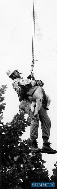 September 1994: Hier zeigt ein Mitglied das Abseilen zum Unglücksort. Herr und Hund erreichen die Unfallstelle von oben.