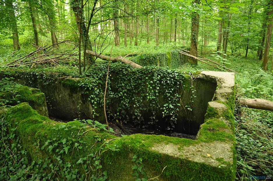Nazi-Ruine im Wald bei Eppingen