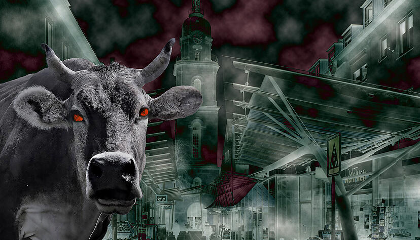 In manchen Nächten soll ein brüllendes Ungeheuer in Rinder-Gestalt durch die Straßen von Heilbronn ziehen. Foto: Pixabay/HSt In manchen Nächten soll ein brüllendes Ungeheuer in Rinder-Gestalt durch die Straßen von Heilbronn ziehen. Foto: Pixabay/HSt