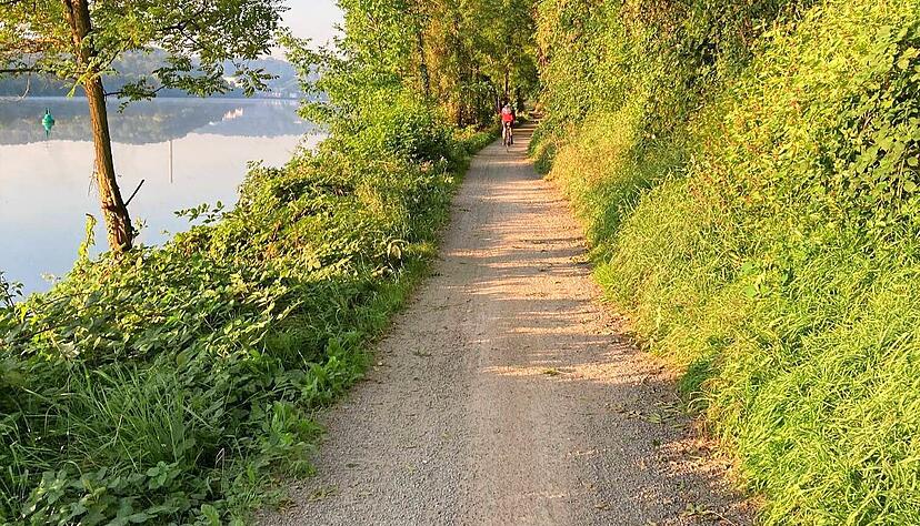 Das letzte naturnahe Teilstück auf dem Neckartalradweg zwischen Lauffen und Kirchheim soll verbreitert, asphaltiert und mit einem Geländer versehen werden.