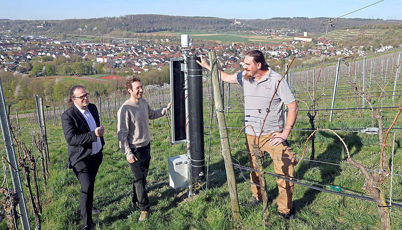 Zwischen strahlendem Sonnenschein und Neutronennebel messen (von links) Dr. Markus Köhli, Dr. Jannis Weimar und Andreas Politschek mit einem neuartigen Sensor den Wassergehalt im Wengertboden bei Gundelsheim. Zwischen strahlendem Sonnenschein und Neutronennebel messen (von links) Dr. Markus Köhli, Dr. Jannis Weimar und Andreas Politschek mit einem neuartigen Sensor den Wassergehalt im Wengertboden bei Gundelsheim.