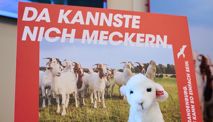 Brandenburg wirbt mit einer neuen Kampagne für Zuzüge aus Westdeutschland. (Archivbild)