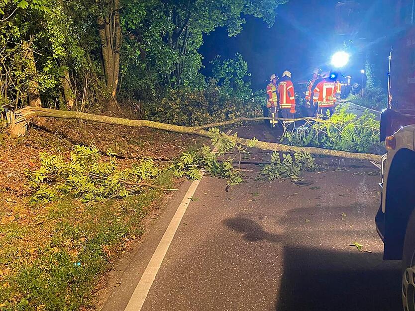 Auch ein Baum wird bei dem Unfall zerstört. Auch ein Baum wird bei dem Unfall zerstört.
