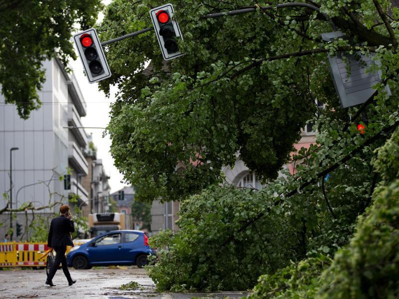 Verbogene Ampelanlage im Hofgarten in D&uuml;sseldorf. Foto: Rolf Vennenbernd