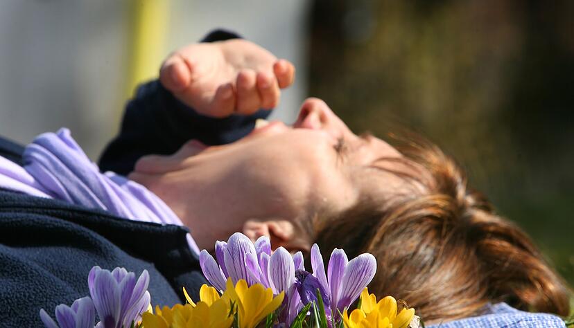 Eine Frau liegt auf einer mit Krokussen bewachsenen Wiese und g&auml;hnt. (Archivbild)