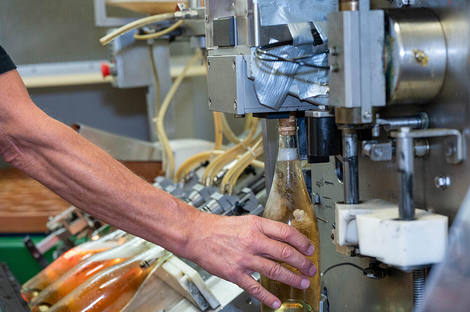Lesersommer Sektkellerei Stengel in Gellmersbach