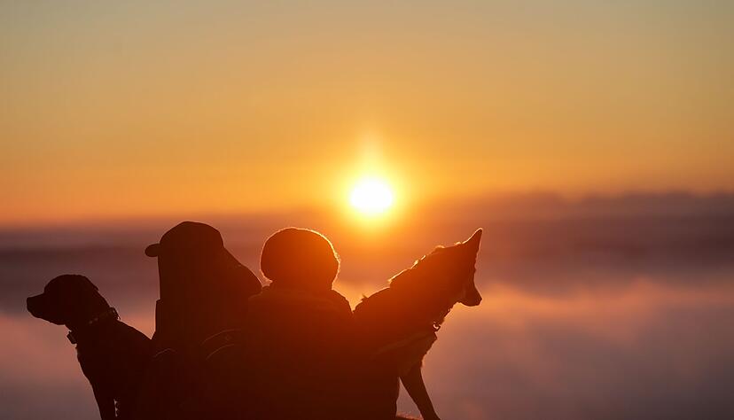 In den h&ouml;heren Lagen Baden-W&uuml;rttembergs scheint am Sonntag oft die Sonne. (Archivbild)
