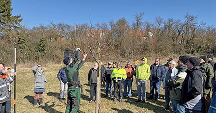 Die Baumschnittkurse des Obst- und Gartenbauvereins Eppingen erfreuen sich großer Beliebtheit.
Foto: Werner Großhans Die Baumschnittkurse des Obst- und Gartenbauvereins Eppingen erfreuen sich großer Beliebtheit.
Foto: Werner Großhans