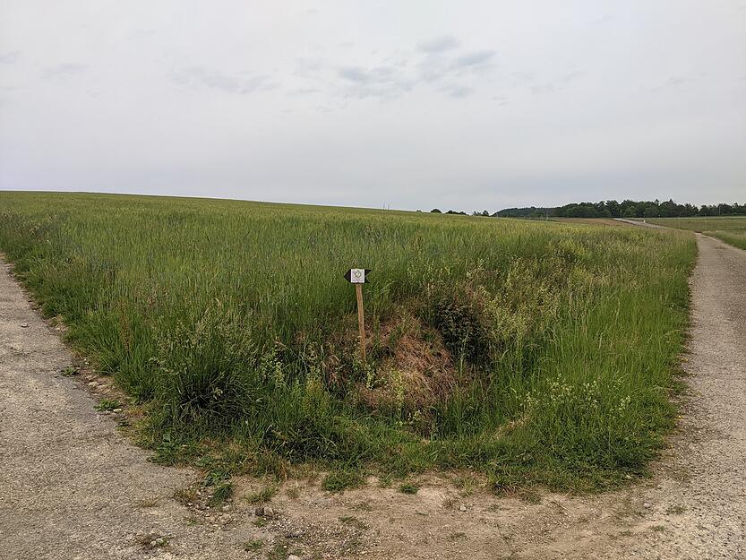 Pilgerweg zwischen Weißbach und Crispenhofen Pilgerweg zwischen Weißbach und Crispenhofen