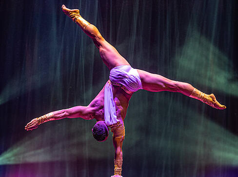 Internationale Artisten begeistern im Weihnachtszirkus mit spektakul&auml;ren Darbietungen.