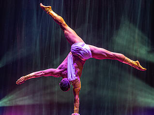 Internationale Artisten begeistern im Weihnachtszirkus mit spektakulären Darbietungen. Internationale Artisten begeistern im Weihnachtszirkus mit spektakulären Darbietungen.
