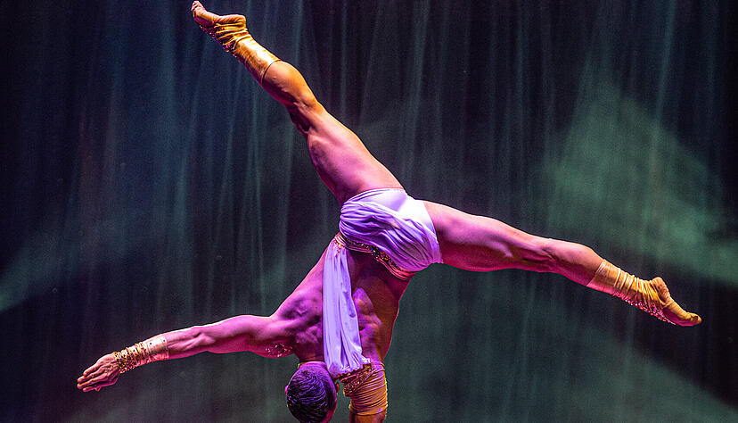 Internationale Artisten begeistern im Weihnachtszirkus mit spektakulären Darbietungen. Internationale Artisten begeistern im Weihnachtszirkus mit spektakulären Darbietungen.