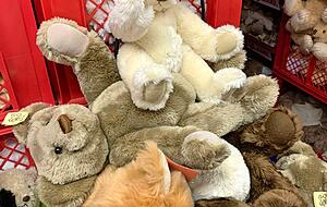 Teddys gibt es beim Freundeskreis in allen Farben und Formen. Die Ehrenamtlichen verkaufen die putzigen Kuscheltiere auf Märkten und Messen. Vom Erlös werden Trösterbären angeschafft. Rund 95.000 sind in 25 Jahren ausgegeben worden. Teddys gibt es beim Freundeskreis in allen Farben und Formen. Die Ehrenamtlichen verkaufen die putzigen Kuscheltiere auf Märkten und Messen. Vom Erlös werden Trösterbären angeschafft. Rund 95.000 sind in 25 Jahren ausgegeben worden.