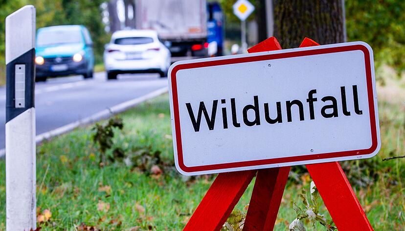 Kurz nach dem Zusammenstoß mit den Tieren kam es zu einem weiteren Unfall. (Symbolbild) Kurz nach dem Zusammenstoß mit den Tieren kam es zu einem weiteren Unfall. (Symbolbild)