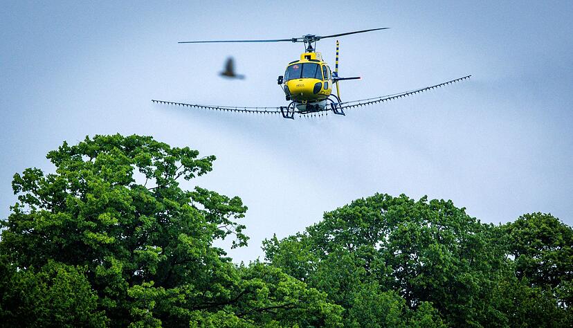 Ein Spezialhubschrauber versprüht über einer Allee ein biologisches Insektizid gegen den Eichenprozessionsspinner. Ein Spezialhubschrauber versprüht über einer Allee ein biologisches Insektizid gegen den Eichenprozessionsspinner.