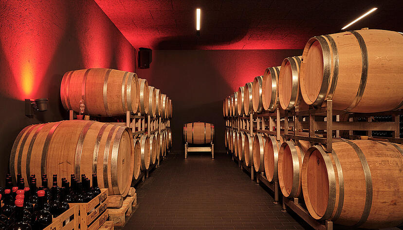 Blick in den Weinkeller