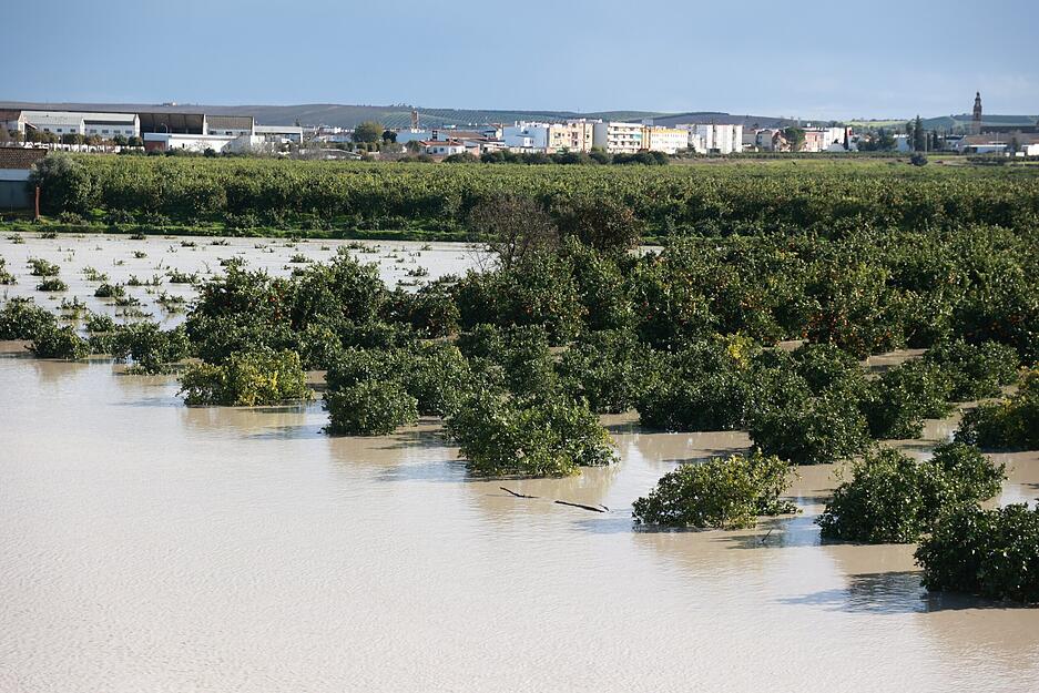 Der Fluss Guadalquivir ist &uuml;ber das Ufer getreten.