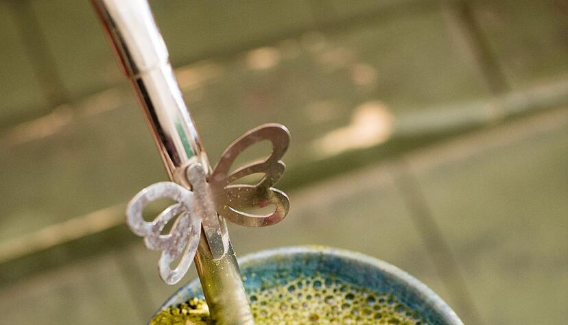 Das Nationalgetr&auml;nk S&uuml;damerikas, der Mate-Tee, wird auch &laquo;Gr&uuml;nes Gold der Indios&raquo; genannt.