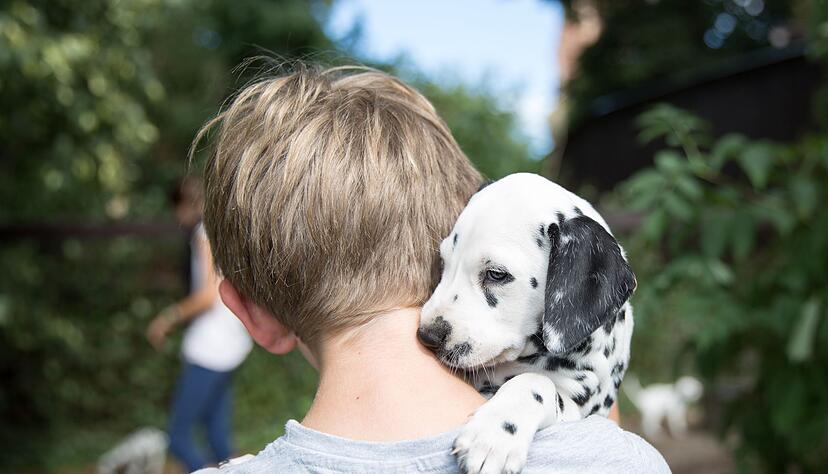 Eine starke Bindung zwischen Hund und Mensch ist die Basis f&uuml;r eine erfolgreiche Erziehung.