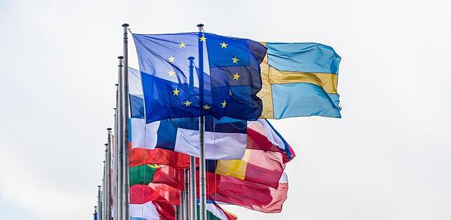 Vor dem Gebäude des Europäischen Parlaments in Straßburg wehen die Flaggen der EU-Mitgliedsstaaten.