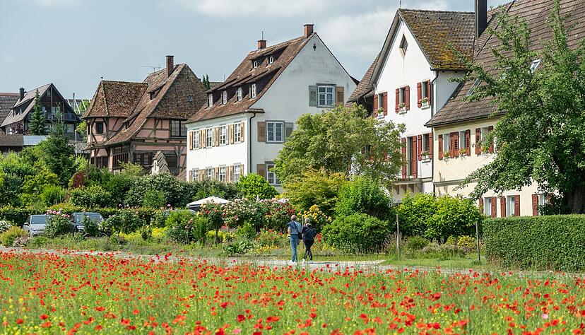 «Sonne pur» - so beschreibt der DWD das Wetter in Baden-Württemberg am Donnerstag. (Symbolbild) «Sonne pur» - so beschreibt der DWD das Wetter in Baden-Württemberg am Donnerstag. (Symbolbild)