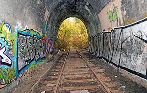 Unterhalb des Hauptfriedhofs ist der Tunneleingang zugänglich. Auf der anderen Seite im Gemmingstal ist die Eisenbahntrasse verwachsen.
Fotos: Ekkehart Nupnau