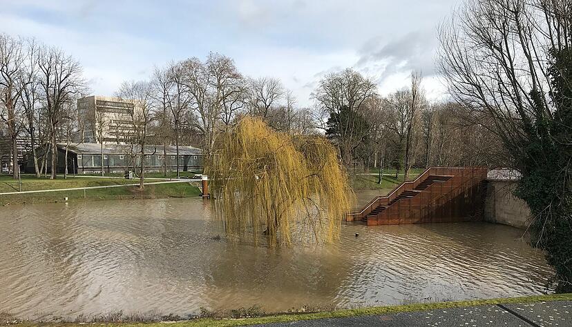 Die Trauerweide auf dem Buga-Gel&auml;nde steht im Wasser. Foto: Krauth