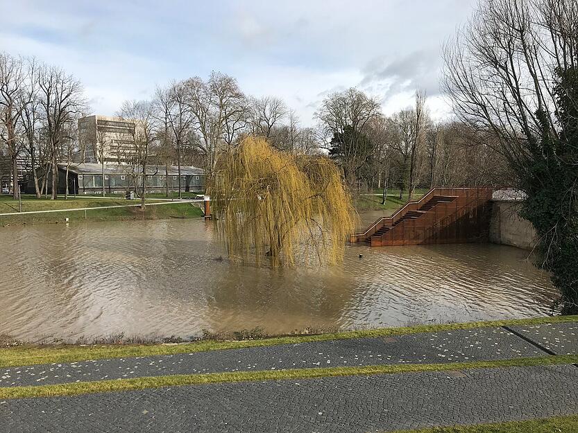 Die Trauerweide auf dem Buga-Gel&auml;nde steht im Wasser. Foto: Krauth