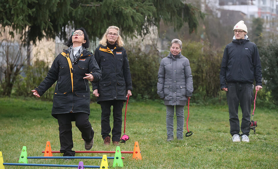 Strukturierte Abläufe im Hobby Dogging fördern ein besseres Zusammenspiel im späteren Alltag mit dem Hund.