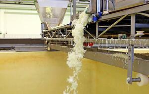 Ein Flie&szlig;band f&uuml;llt den geschnittenen Kohl in die gro&szlig;en Silos. Die G&auml;rung dauert ein paar Tage.