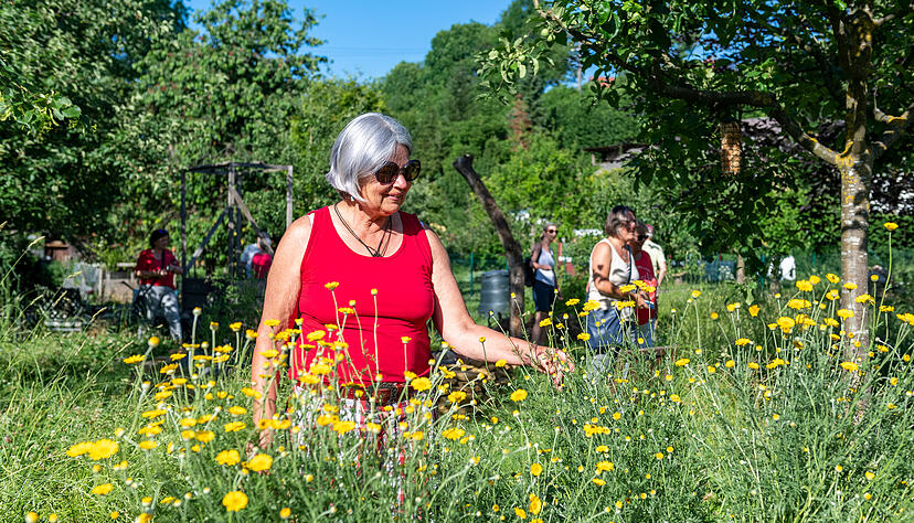 XXL-Lesersommer: Naturgartenbesuch bei Heimatreporter Magnus Diller in Oedheim