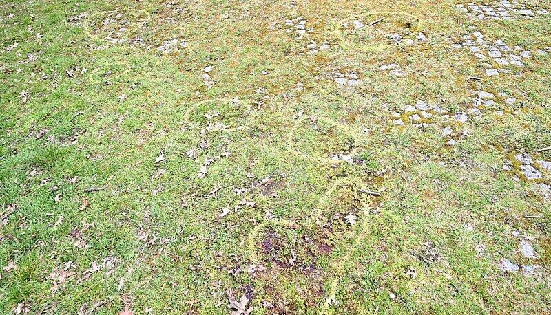 Markierungen der Spurensicherung der Polizei sind auf einer Wiese vor einem Schulzentrum in der Nähe des Tatortes zu sehen, an dem eine Siebenjährige durch den Lebensgefährten der Mutter getötet worden ist. Markierungen der Spurensicherung der Polizei sind auf einer Wiese vor einem Schulzentrum in der Nähe des Tatortes zu sehen, an dem eine Siebenjährige durch den Lebensgefährten der Mutter getötet worden ist.