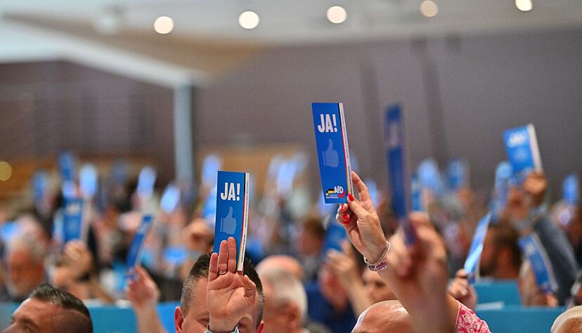 Die Partei gibt sich disziplinierter als früher. Die Partei gibt sich disziplinierter als früher.
